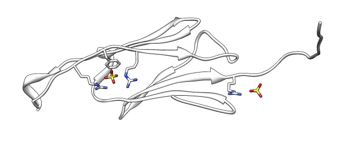 computer generated image