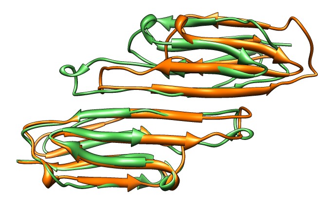 computer generated image