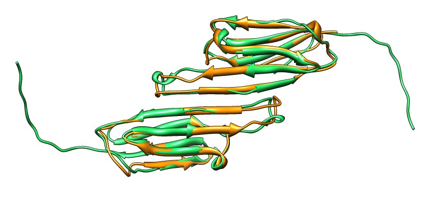 computer generated image