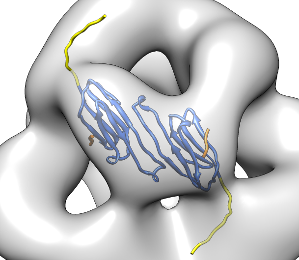 computer generated image