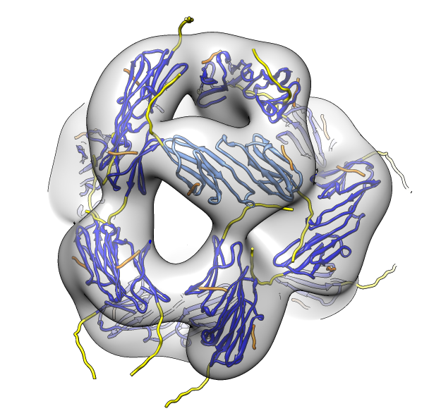 computer generated image