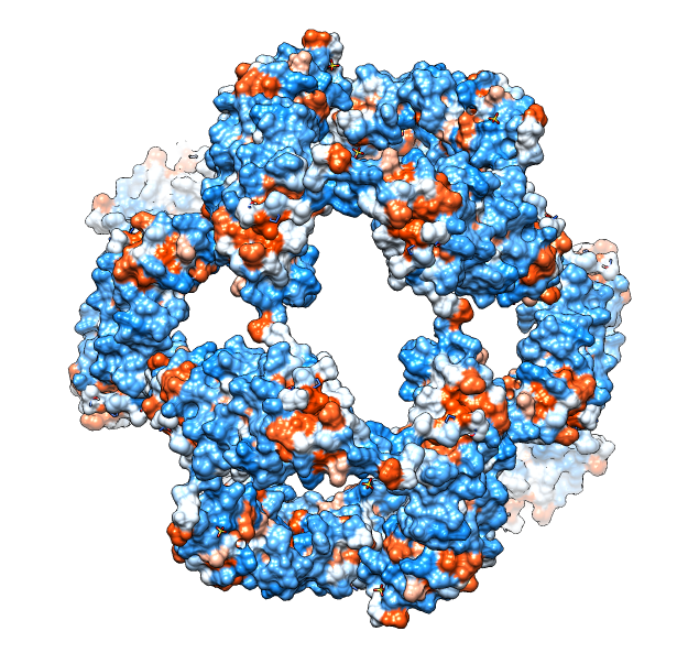 computer generated image