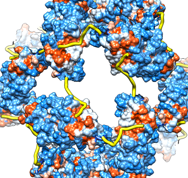 computer generated image