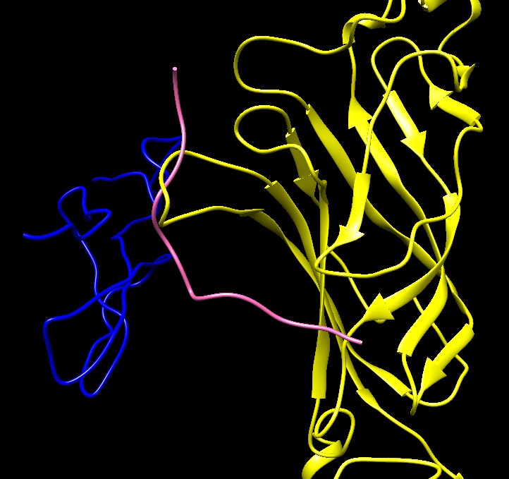 computer generated image