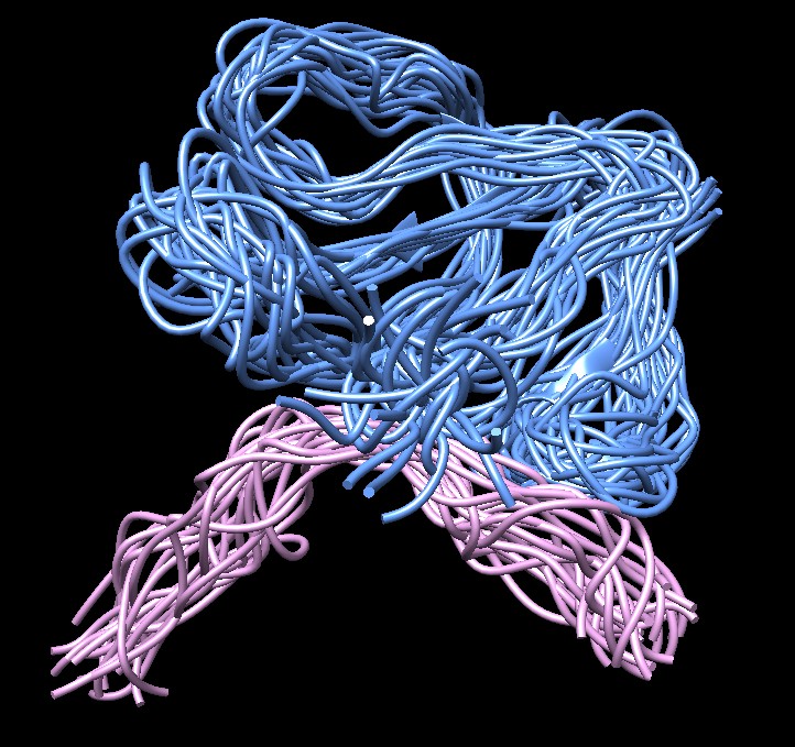 computer generated image