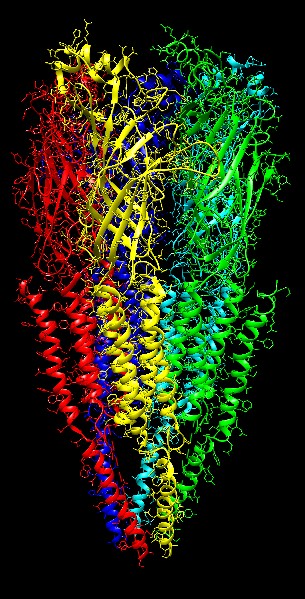 computer generated image