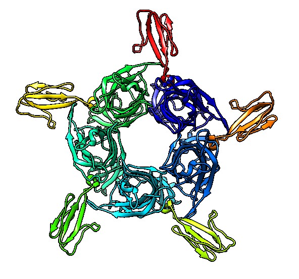 computer generated image