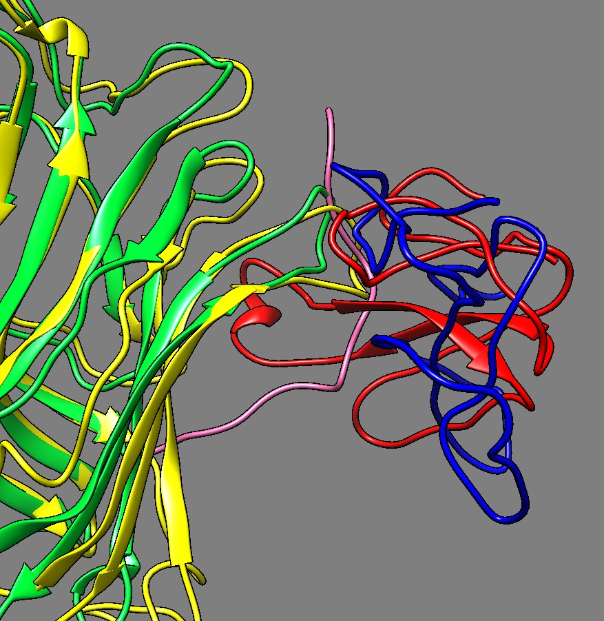 computer generated image