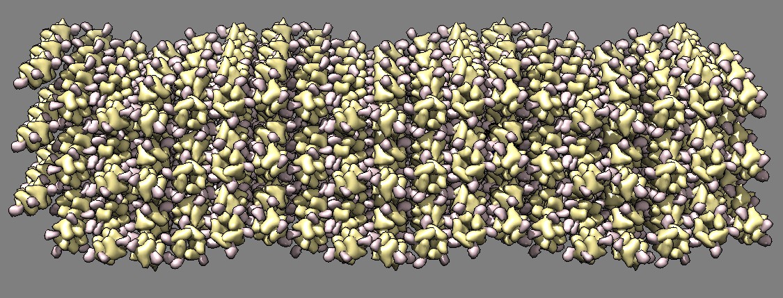 computer generated image