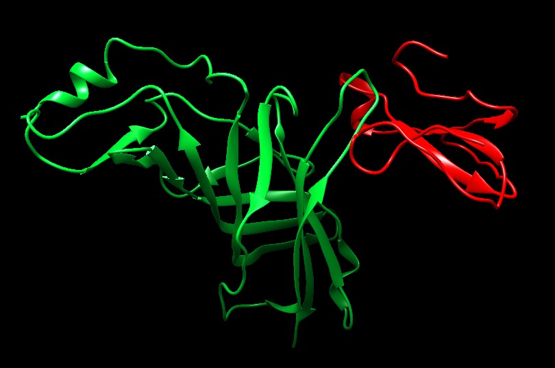 computer generated image