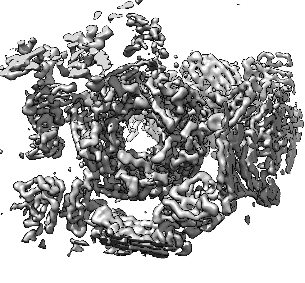 computer generated image