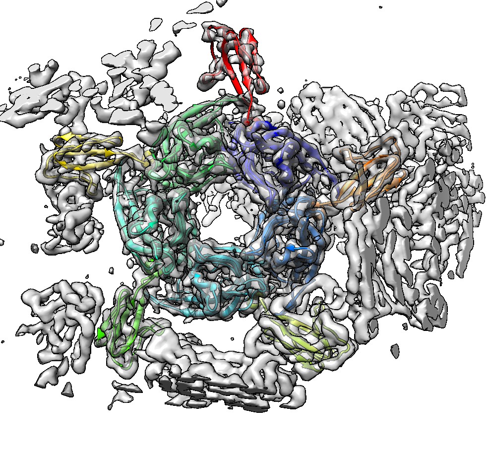 computer generated image