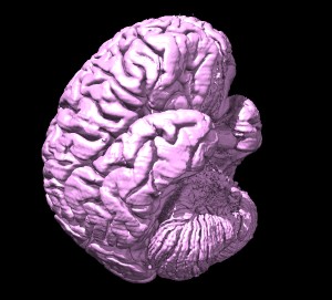 computer generated image