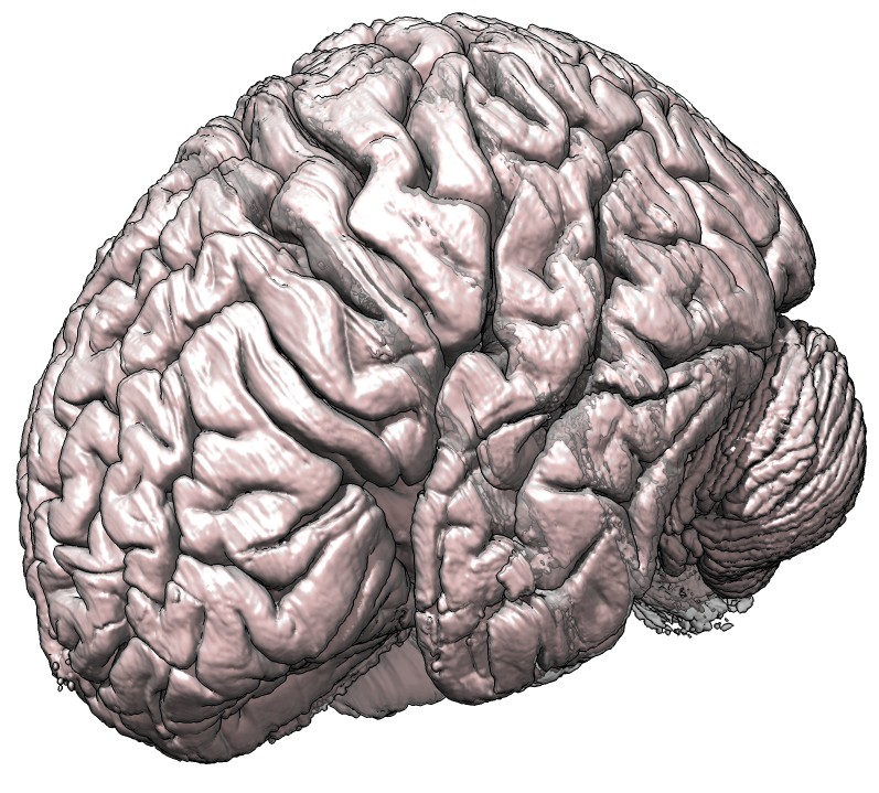 computer generated image