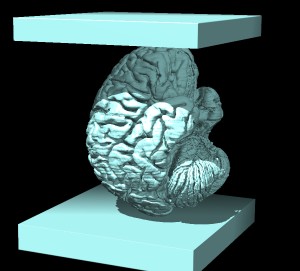 computer generated image