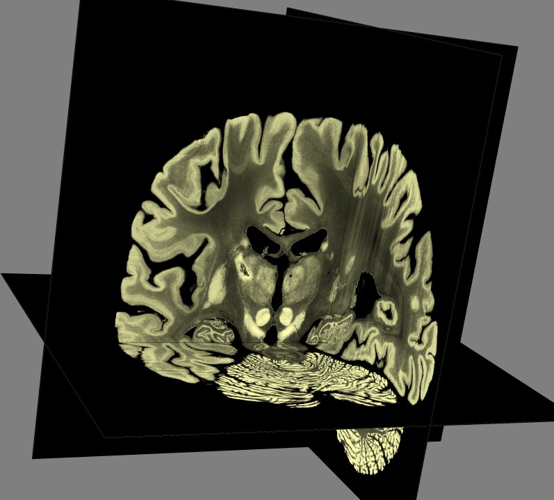 computer generated image