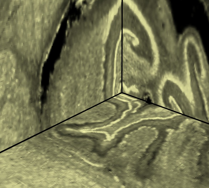 computer generated image