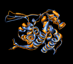 computer generated image