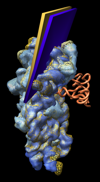 computer generated image