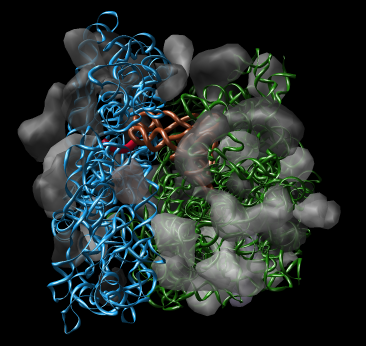 computer generated image