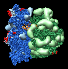 computer generated image