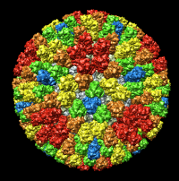 computer generated image