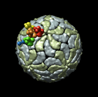 computer generated image