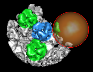 computer generated image