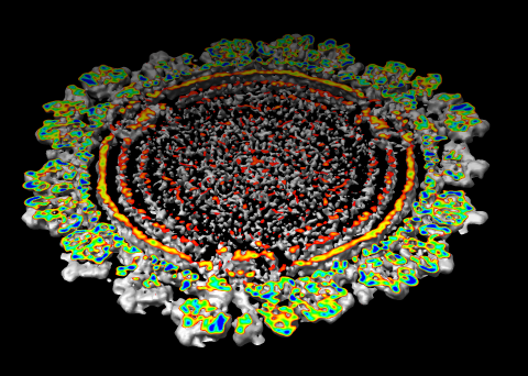 computer generated image