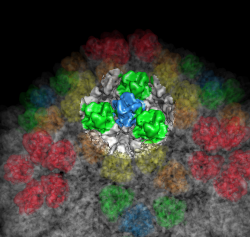 computer generated image