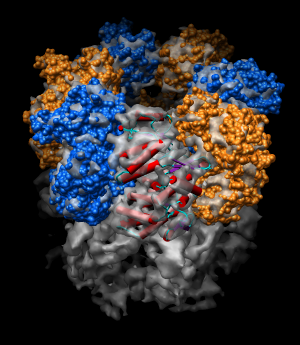 computer generated image