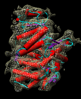 computer generated image