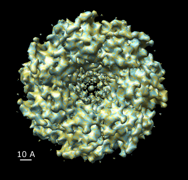 computer generated image