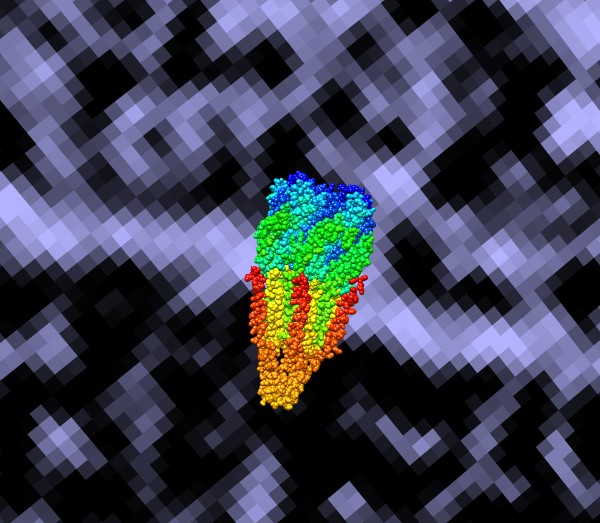 computer generated image