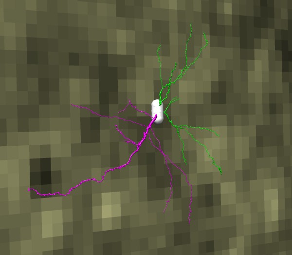 computer generated image