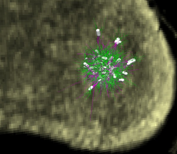 computer generated image