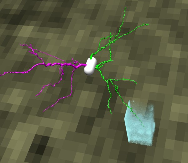 computer generated image