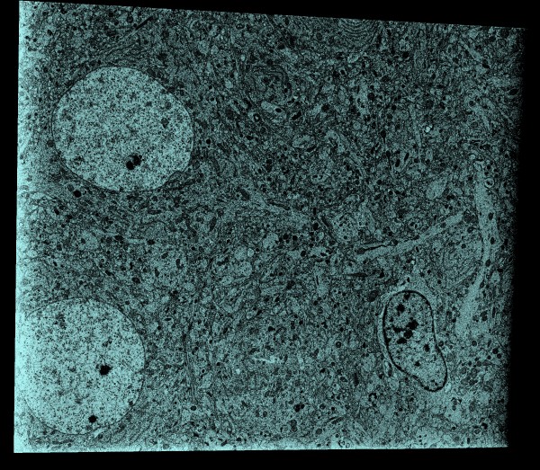 computer generated image