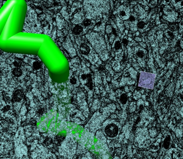 computer generated image