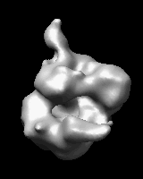 computer generated image