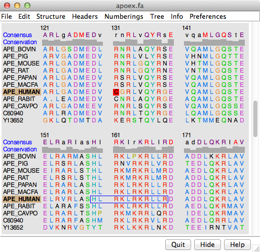 computer generated image