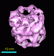 computer generated image