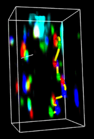 computer generated image