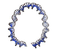 computer generated image