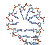 computer generated image