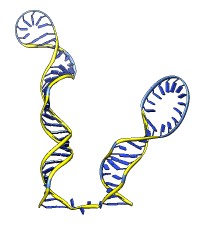 computer generated image