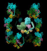 computer generated image