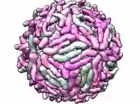 computer generated image