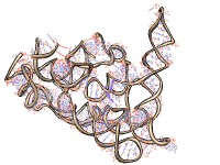 computer generated image