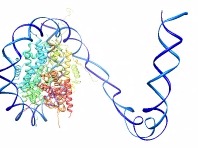 computer generated image